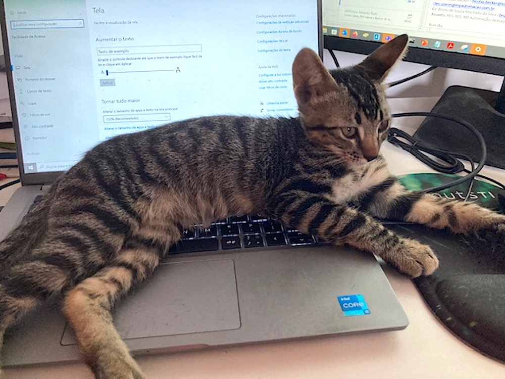 A cyber cat (kitten!) sprawled over a laptop keyboard.