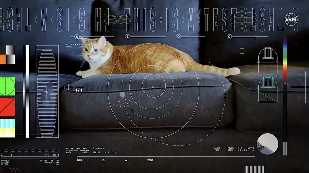 A screenshot of the cat laser video broadcast across space by Nasa.