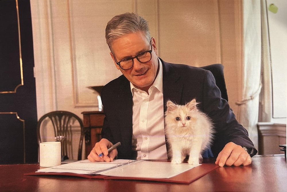 UK prime minister Kier Starmer sat at a table with some documents in front of him; on the table is his new white kitten, very very fluffy and slightly spicy, as if somewhat startled.
