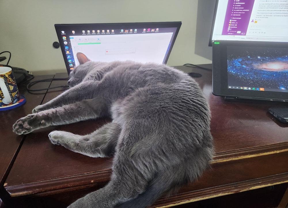 A Russian blue grey cat called Akasha laying on an open laptop.