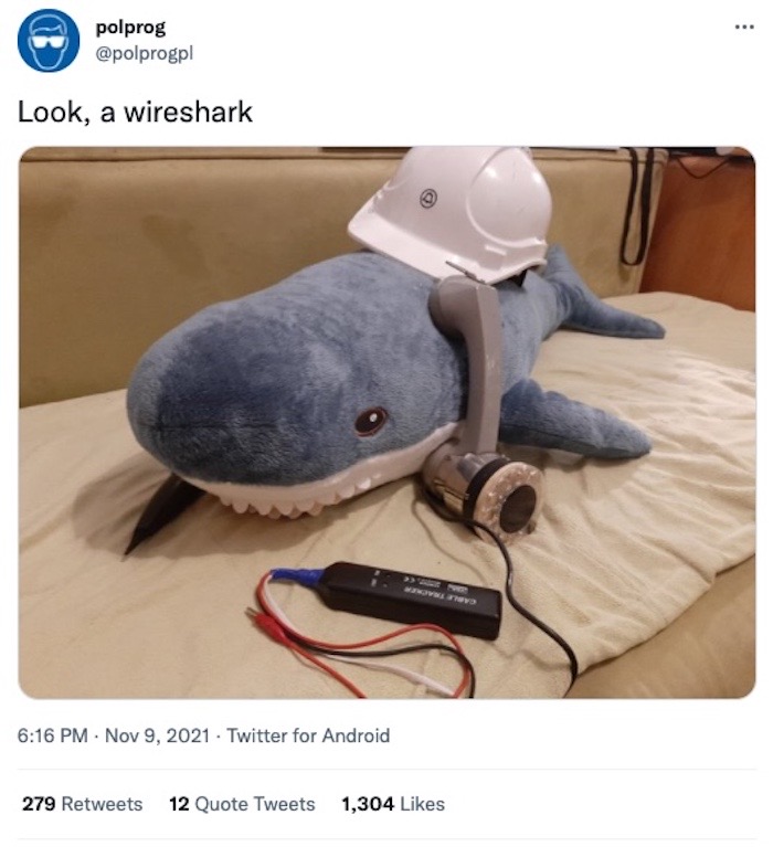 A toy shark with a hard hat and wires nearby, with the quote "Wire-shark".