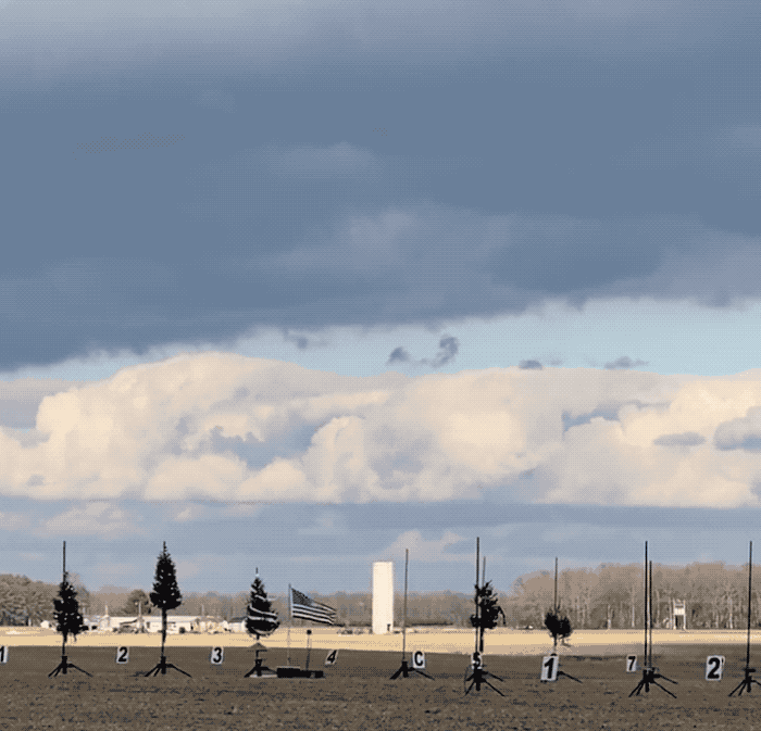 An animated GIF of several Christmas trees strapped to small rockets and blown into the sky.