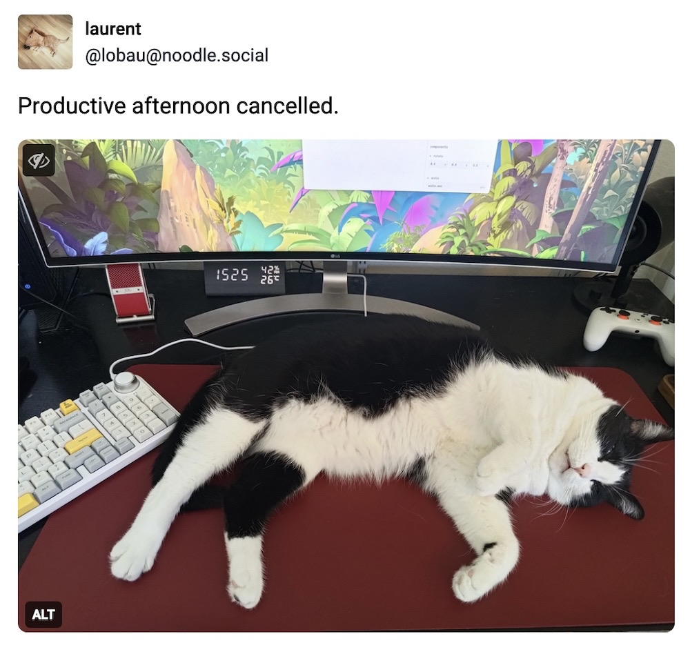 Laurent toot: "Productive afternoon cancelled," followed by a photo of a cat sprawled out in front of their human's computer, on their desk, blocking work for the day.