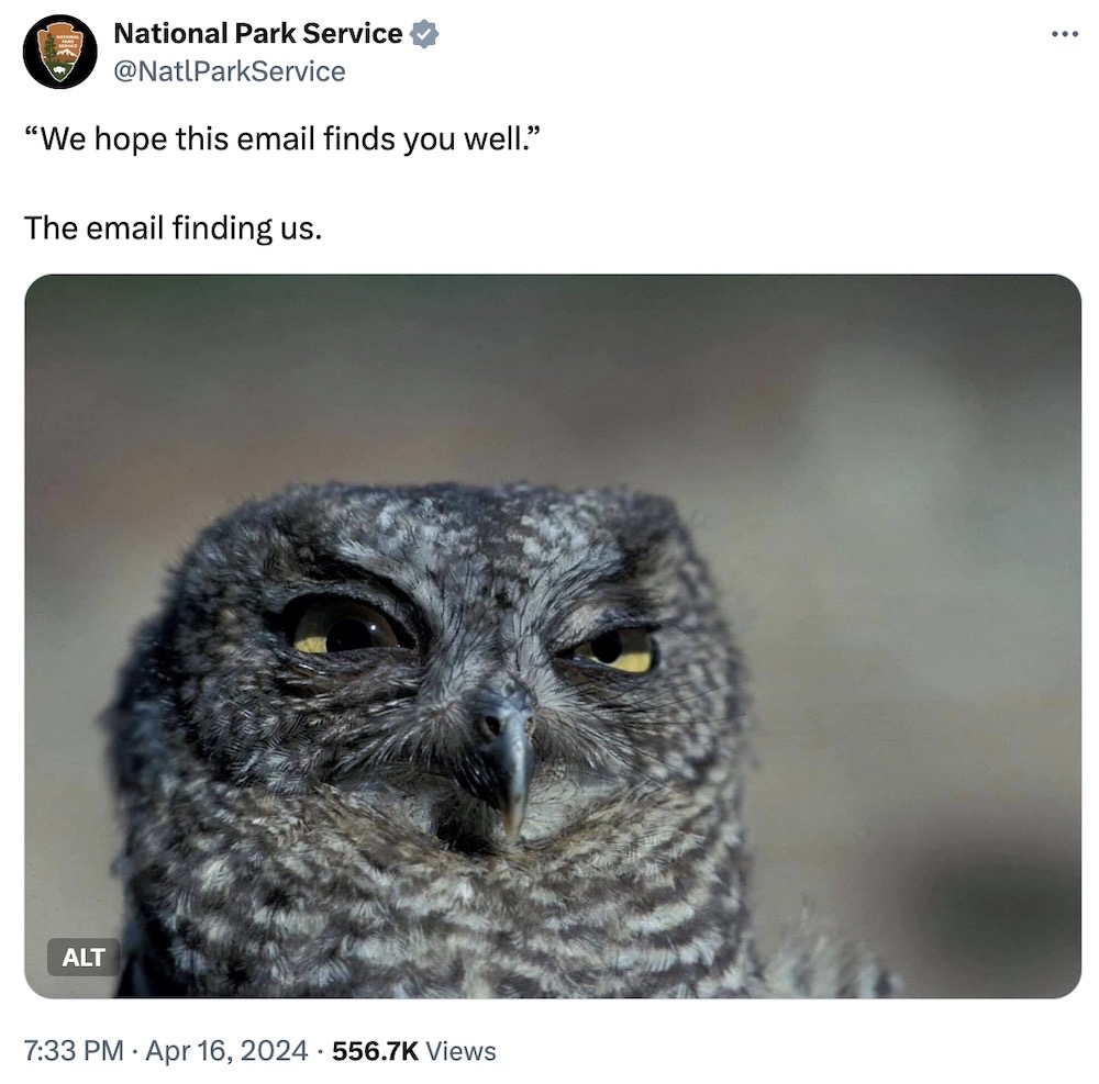 National Park Service tweet: "“We hope this email finds you well.” Then: The email finding us," followed by an owl squinting, as if to give shade.  