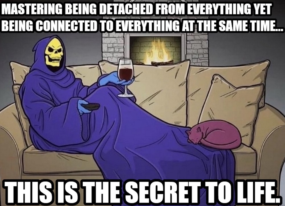 Inspirational Skeletor post, showing Skeletor in a onesie blanket with a glass of wine, on a couch with a cat(!) and a fireplace in the background, featuring the words: "mastering being detached from everything yet being connected to everything at the same time… is the secret to life"
