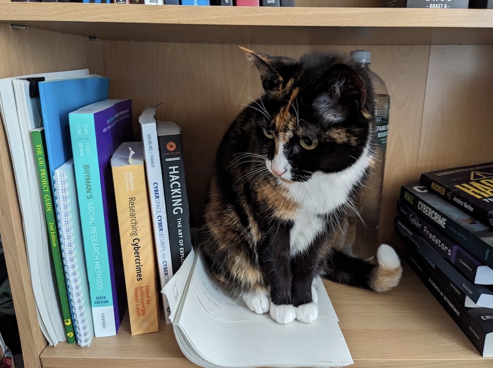Kiki is a brown, orange and white kitty with white socks for paws, sitting on a bookshelf next to some hacking and cybersecurity books.