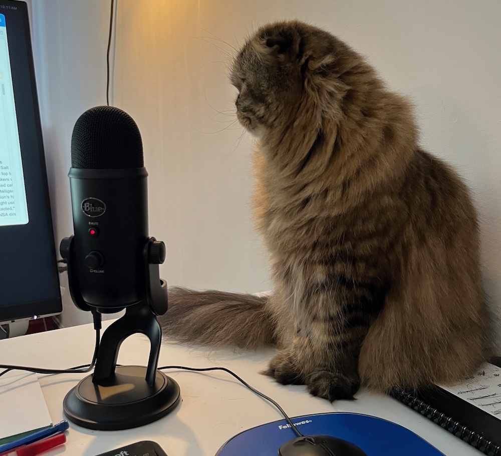 Franklin is a brown fluffy kitty sitting on their human's desk in front of a microphone.
