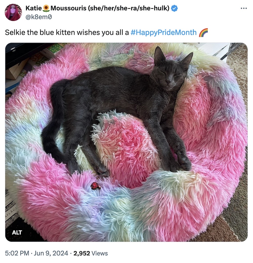 Katie Moussouris tweet: "Selkie the blue kitten wishes you all a #HappyPrideMonth" followed by a black and dark grey kitten in a pink and multicolored fluffy cushion.