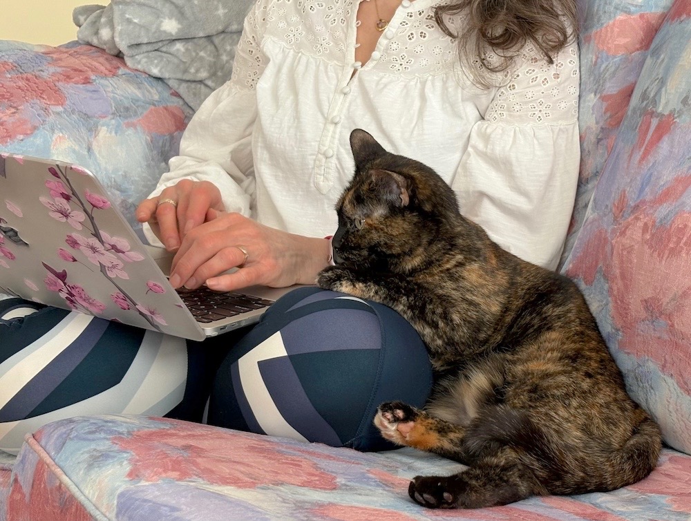 Rosie is a beautiful brown and black kitty who's sitting next to her human as she uses their laptop.