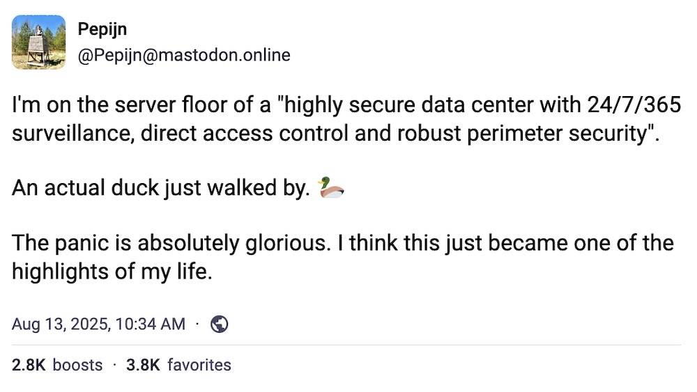 Pepign post on Mastodon: "I'm on the server floor of a "highly secure data center with 24/7/365 surveillance, direct access control and robust perimeter security".  An actual duck just walked by. 🦆   The panic is absolutely glorious. I think this just became one of the highlights of my life."