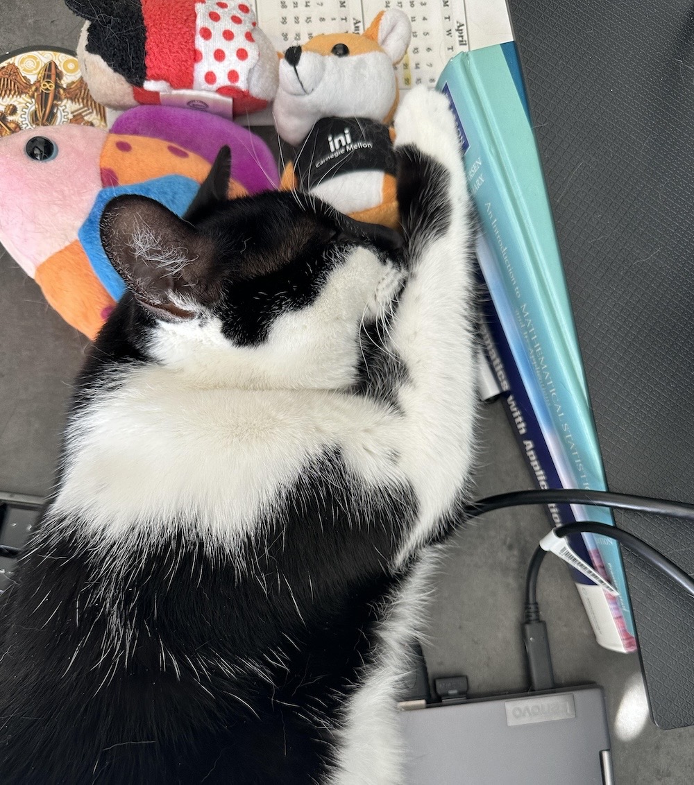 A black and white kitty called Arya who is sprawled out asleep across several books, cuddly toys, and a warm laptop plus cables.