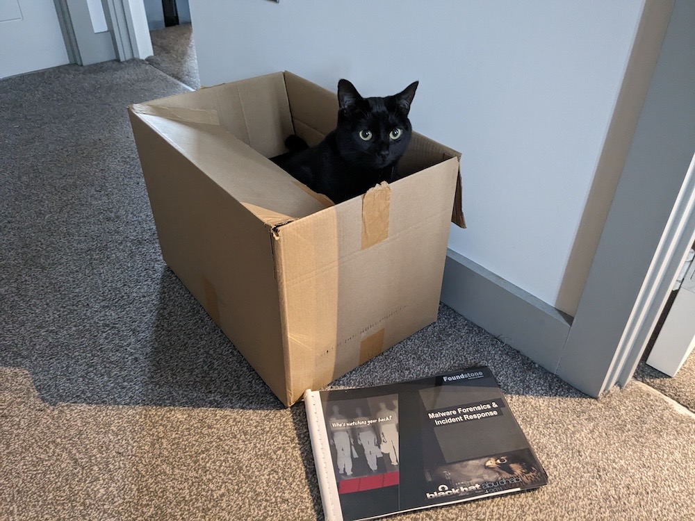 Shadow is a jet black cat sitting inside a cardboard box, next to a Black Hat book about malware forensics and incident response.