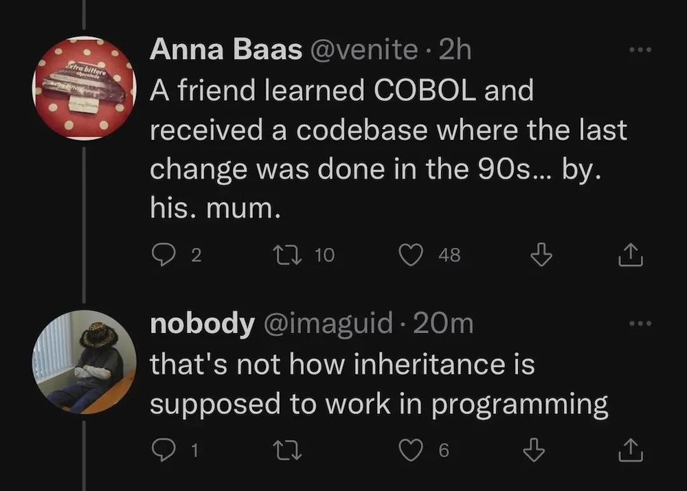 Anna Baas tweet: "A friend learned COBOL and received a codebase where the last change was done in the 90s... by. his. mum," followed by a tweet reply: "that's not how inheritance is supposed to work in programming."