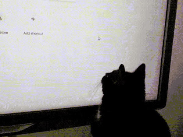 Leia is a black cybercat who can be seen trying to catch a moving mouse pointer on her human's computer display.