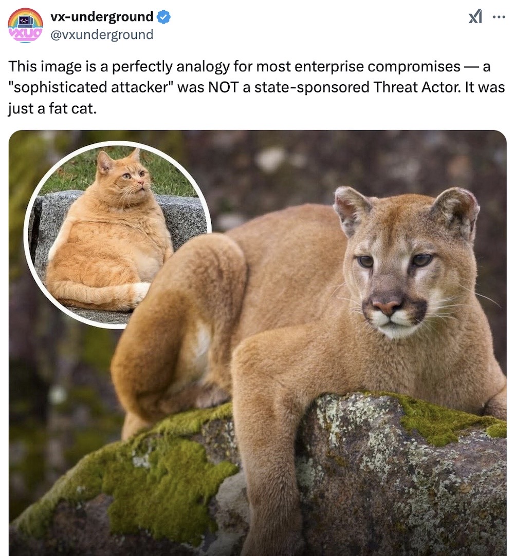 vx-underground tweet: "This image is a perfectly analogy for most enterprise compromises — a "sophisticated attacker" was NOT a state-sponsored Threat Actor. It was just a fat cat," followed by a fat ginger cat that was mistaken for a mountain lion.