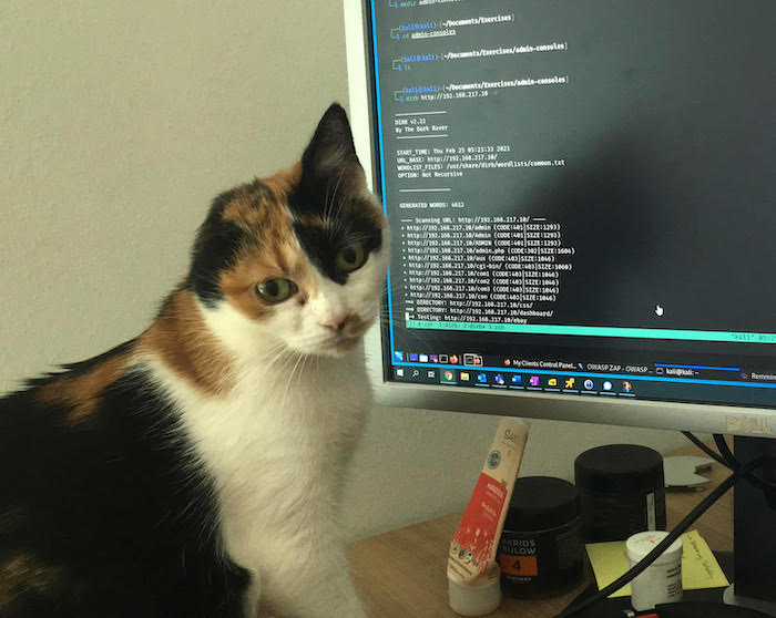 Fortuna is a very lovely cat with one ear, standing next to her dad's computer screen. 