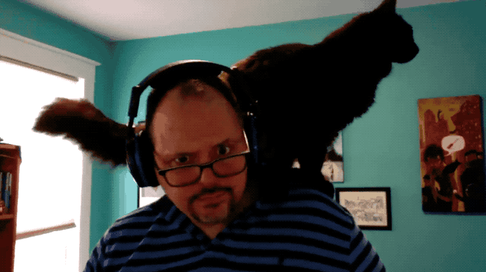 An animated GIF of a cat on @thepacketrat's shoulder.