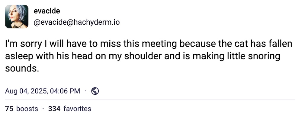 Evacide post on Mastodon: "I'm sorry I will have to miss this meeting because the cat has fallen asleep with his head on my shoulder and is making little snoring sounds."
