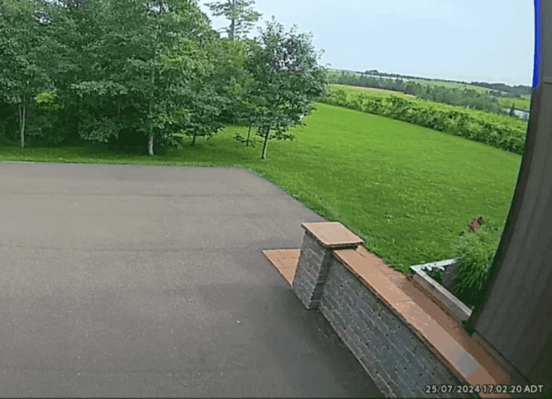 an animated GIF of a doorbell camera video showing a driveway at someone's house, then suddenly a meteorite smashing on the ground into a million tiny pieces.