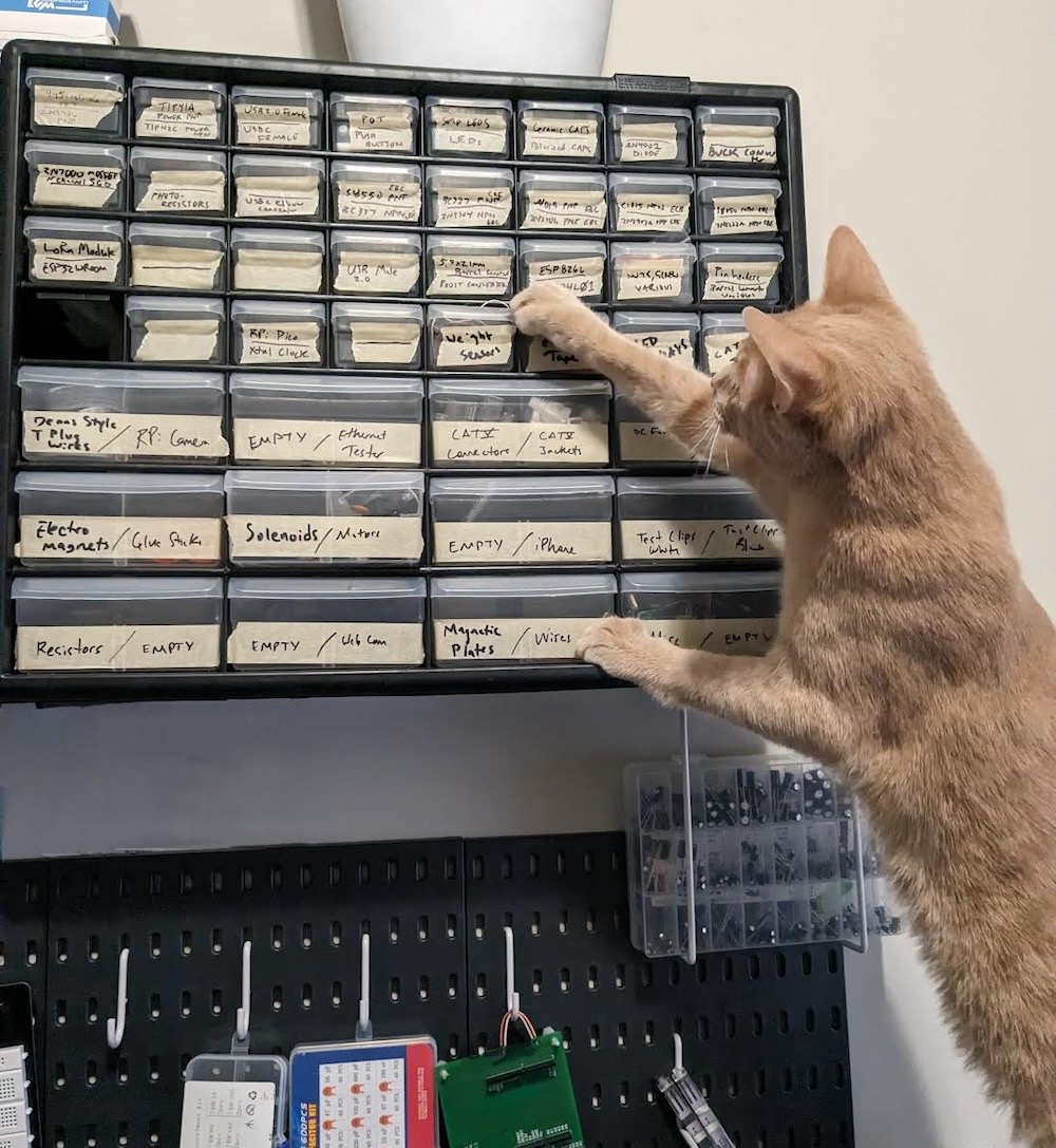 Frosty is a ginger cat who is patting a shelf of small drawers with his paw.