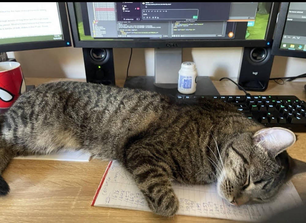 a tabby cat called Thomas lying asleep on a keyboard over a desk by a computer monitor. Super cute.