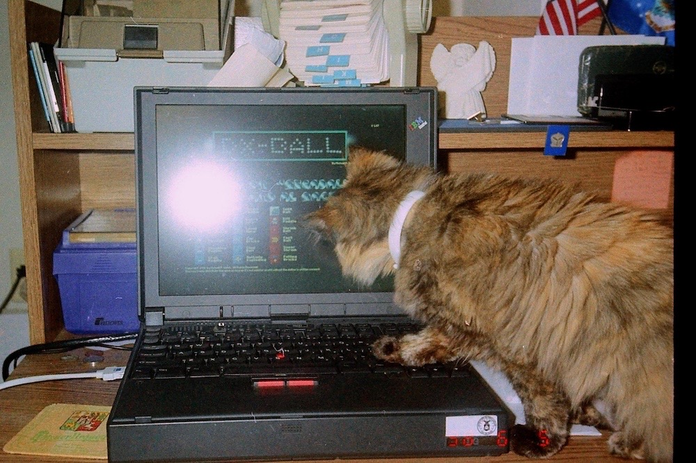 A digitized photo from 1998 featuring a ginger-brown fluffy kitten with her paws on a very old, thick, chunky laptop on a desk.