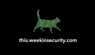 a graphic of the matrix/binary code over a green cat logo of ~this week in security~ featuring the web address — this.weekinsecurity.com