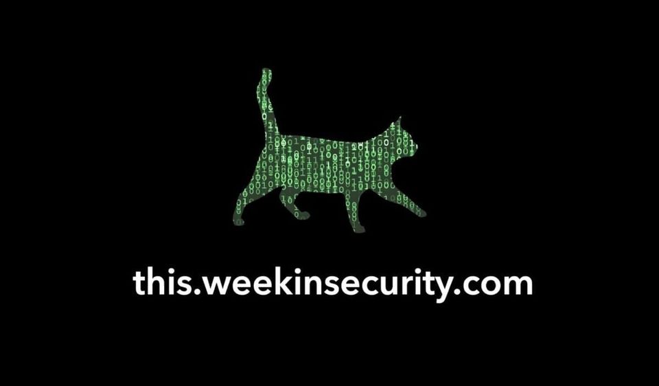 a graphic of the matrix/binary code over a green cat logo of ~this week in security~ featuring the web address — this.weekinsecurity.com