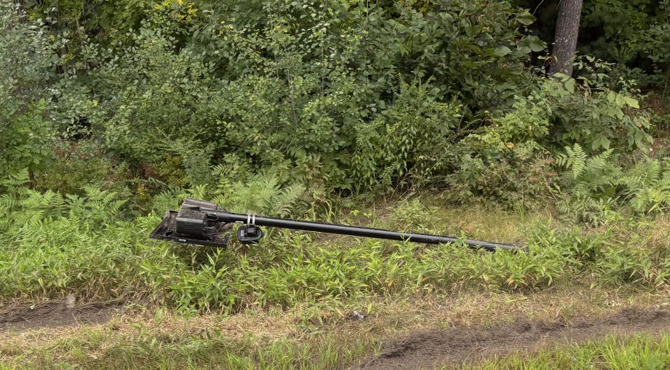 a photo of a Flock camera on a pole, with a solar panel, cut down and surrounded by green shrubbery, on the side of the road with grass and weeds.