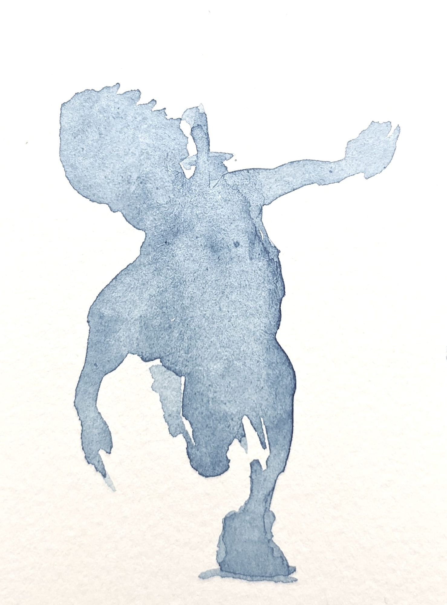 Unexpected Encounters with Exquisite Creatures