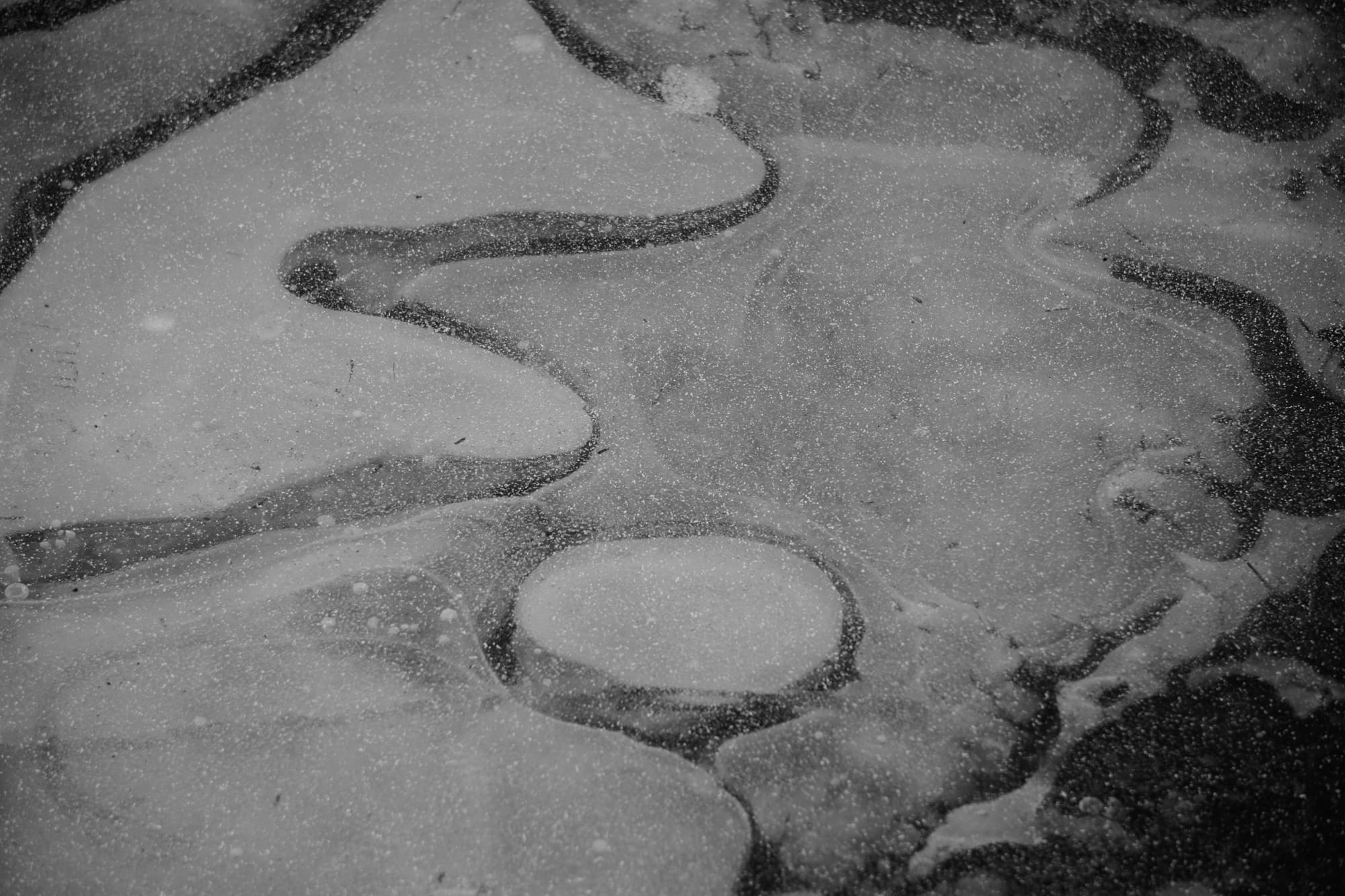 Patterns formed into something of a topographical map in a frozen puddle, due to air bubbles trapped within.