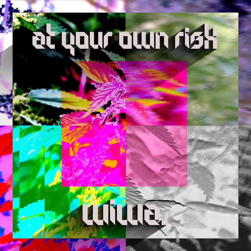 I made the album art myself, it's a picture of a stinging nettle all messed up