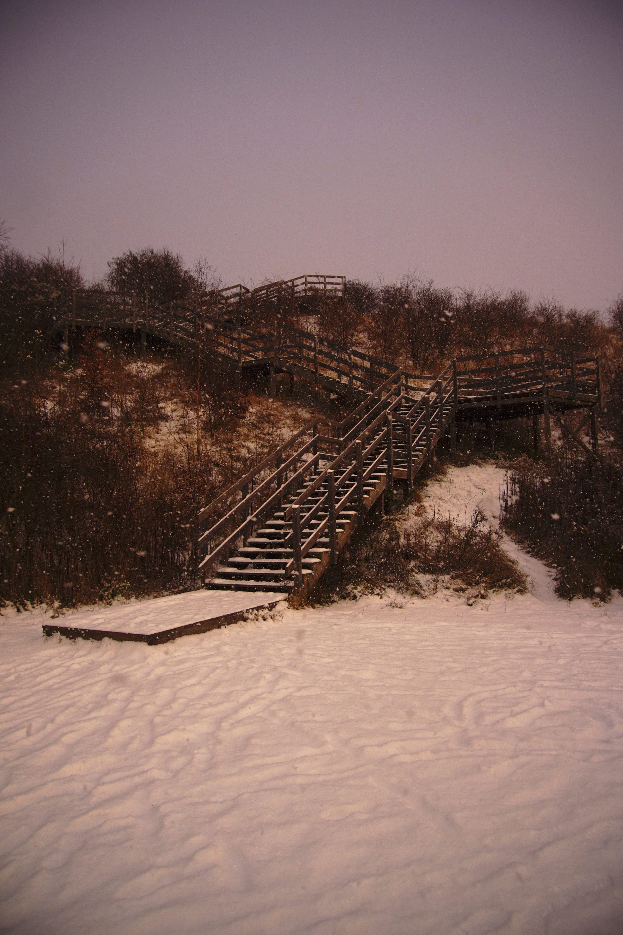 A wooden staircase, with a blanket of snow around, and rust-coloured vegetation surrounding it.