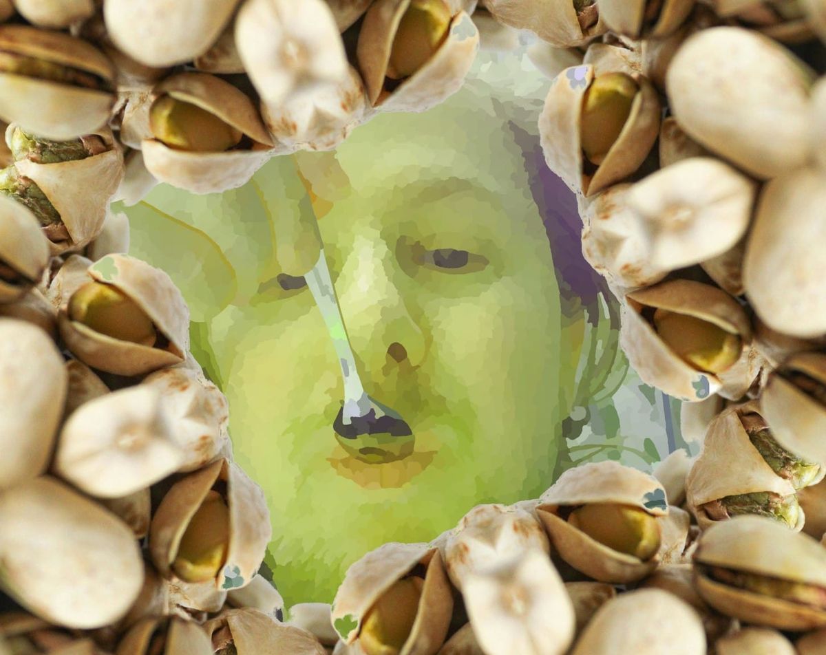 green me surrounded by pistachio shells