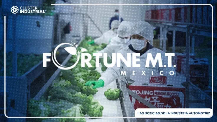 Fortune MT México se instala en GTO con una inversión de 112 MDP