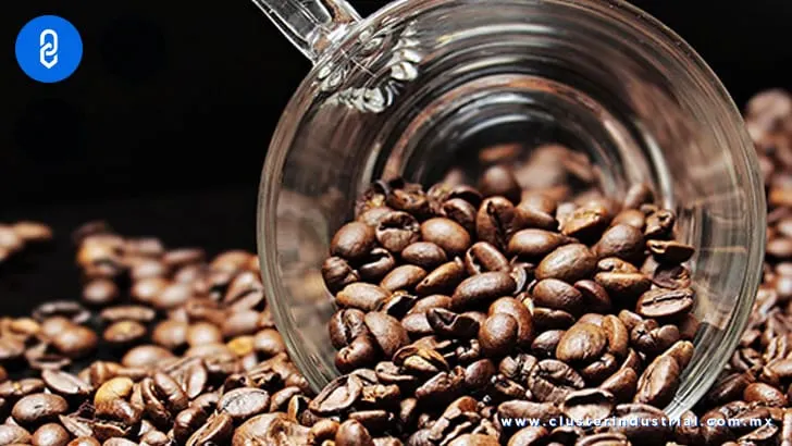 México ocupa la decimoprimera posición como productor de café a nivel mundial