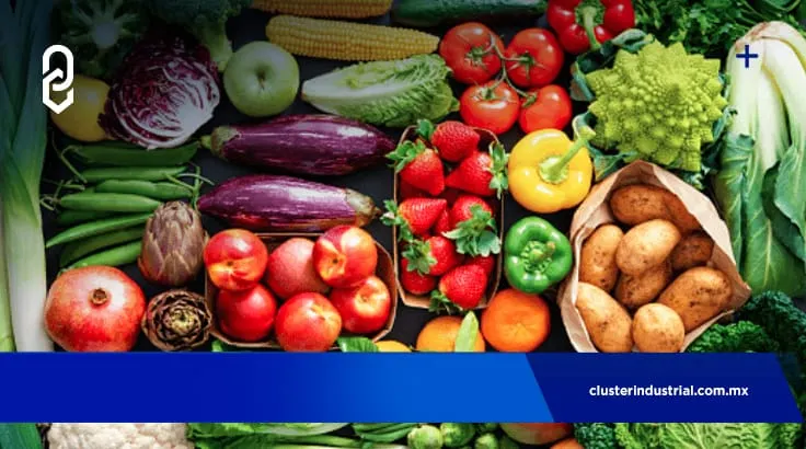 Balanza comercial agroalimentaria registra superávit de 659 MDD en enero de 2022