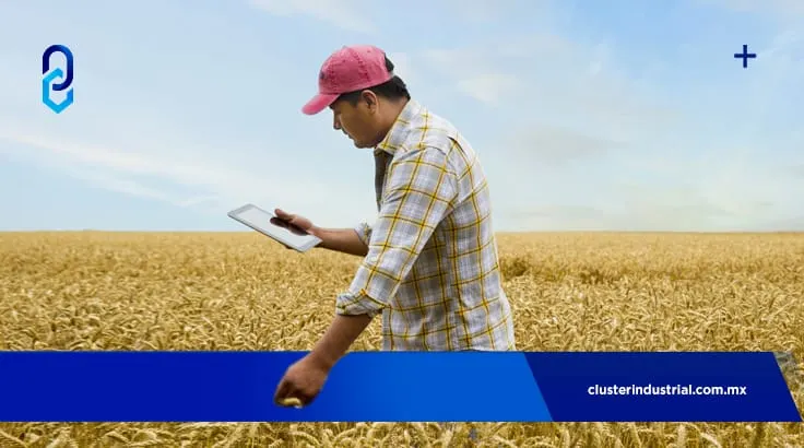 Mi Lote, plataforma digital que ayuda a los agricultores a gestionar sus recursos