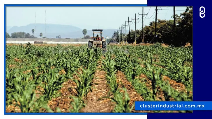 México registra un superávit de 4,644 MDD de enero a mayo