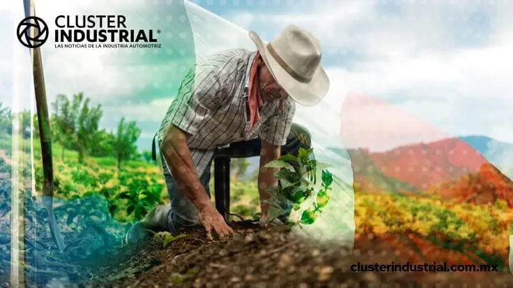 Agroindustria mexicana, fuerte a pesar de la COVID-19