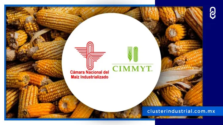 CANAMI y CINMMYT firman acuerdo cooperativo para impulsar la producción del maíz en México