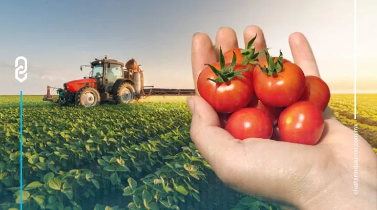 FAO refuerza acciones para una agricultura integral y con enfoque social en México