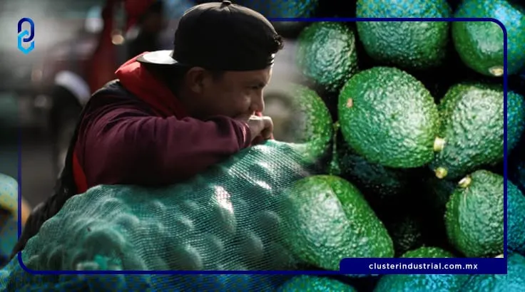 El aguacate mexicano regresa a Costa Rica luego de 7 años sin ser exportado