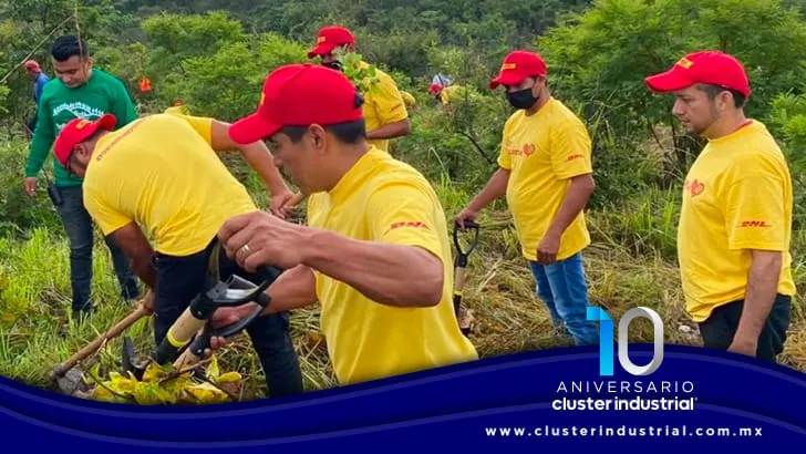 DHL Express recibe reconocimiento por sus actividades de reforestación