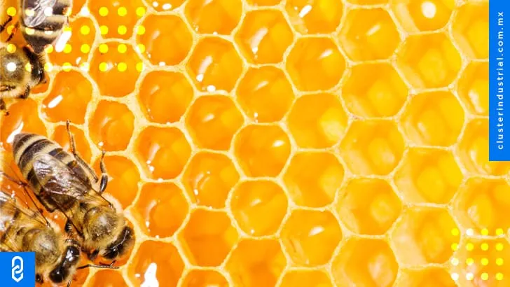 México prevé mayor producción de miel, con exportaciones a 33 países
