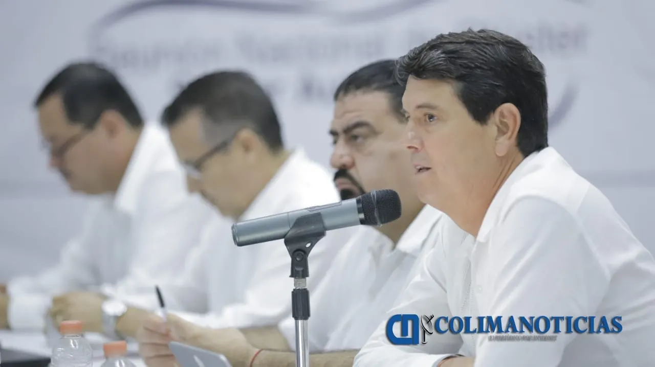 Puerto de Manzanillo, foco de inversión automotriz