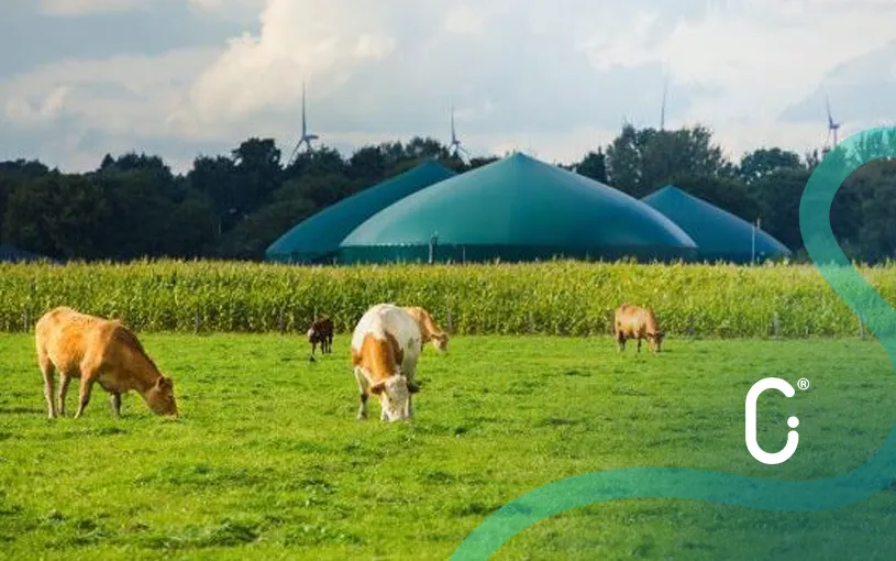 Biometano, el aliado del Gas Natural para un futuro energético más sostenible