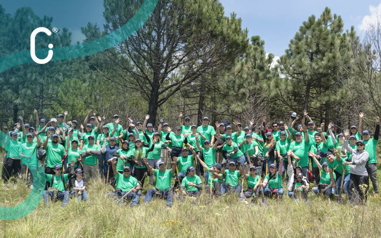 ANPACT fortalece su huella verde con jornada de reforestación