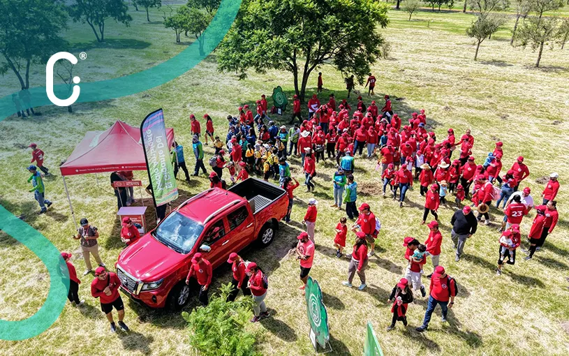 Nissan Mexicana planta 1,600 árboles y proyecta capturar 1,100 toneladas de CO₂
