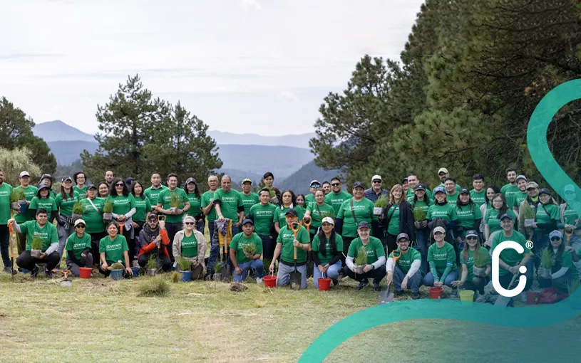 Serfimex Capital reforesta 9,000 m² del Ajusco con participación de 67 colaboradores